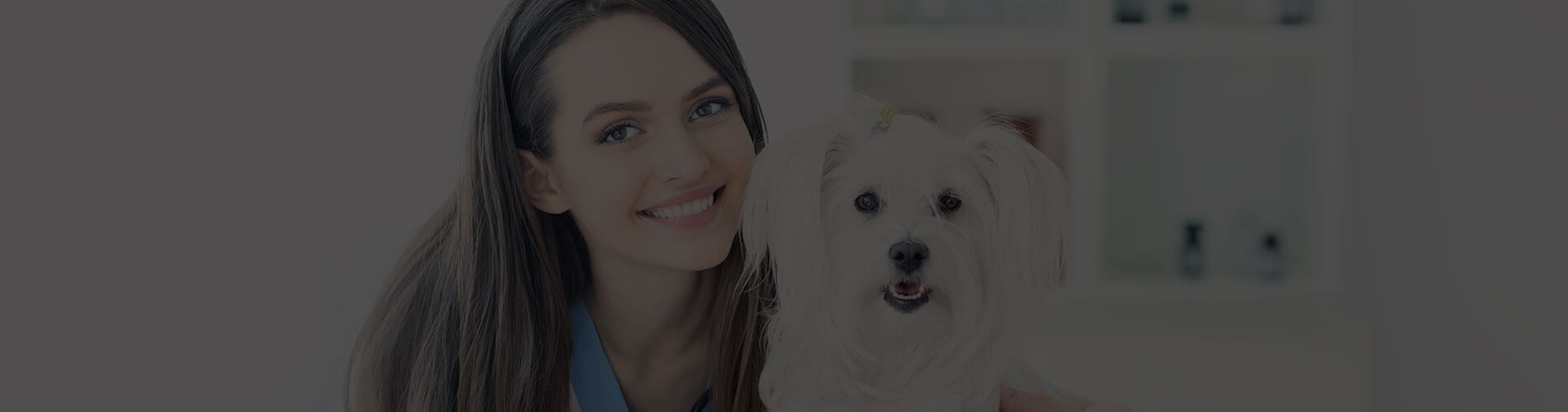 Life Insurance